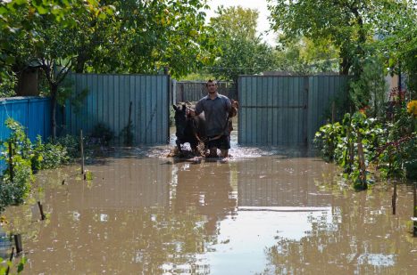 inundatii